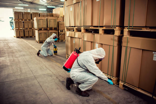 Best Cockroach Control Services  in Funny River, AK