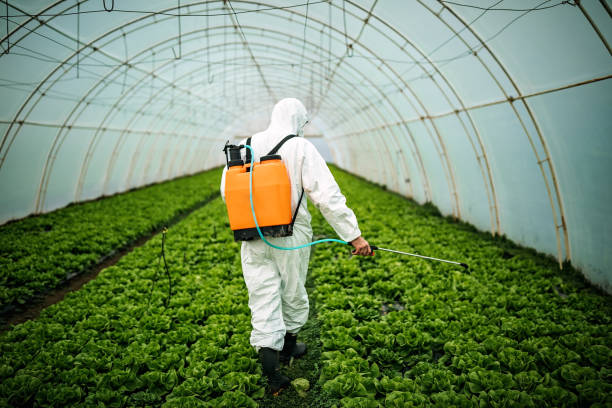 Best Residential Pest Control  in Funny River, AK