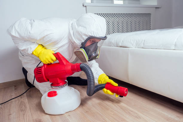 Best Wasp Removal Services  in Funny River, AK