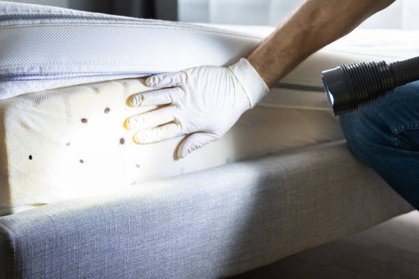 Best Best Pest Control Companies  in Funny River, AK