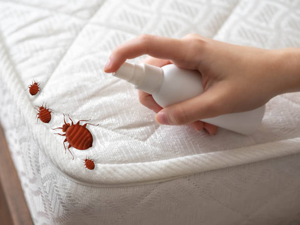 Best Commercial Pest Control Services  in Funny River, AK