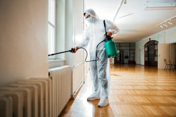 Reliable Funny River, AK Pest Control Solutions